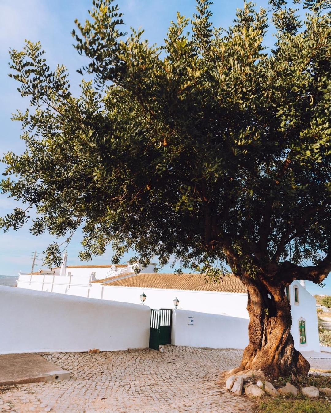 Cerca Velha - Vakantiehuis